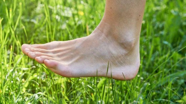 Foto - Osman Müftüoğlu'nun 'En marifetli' dediği vitamin! Çok etkili, eksikliği vücudu bitiriyor