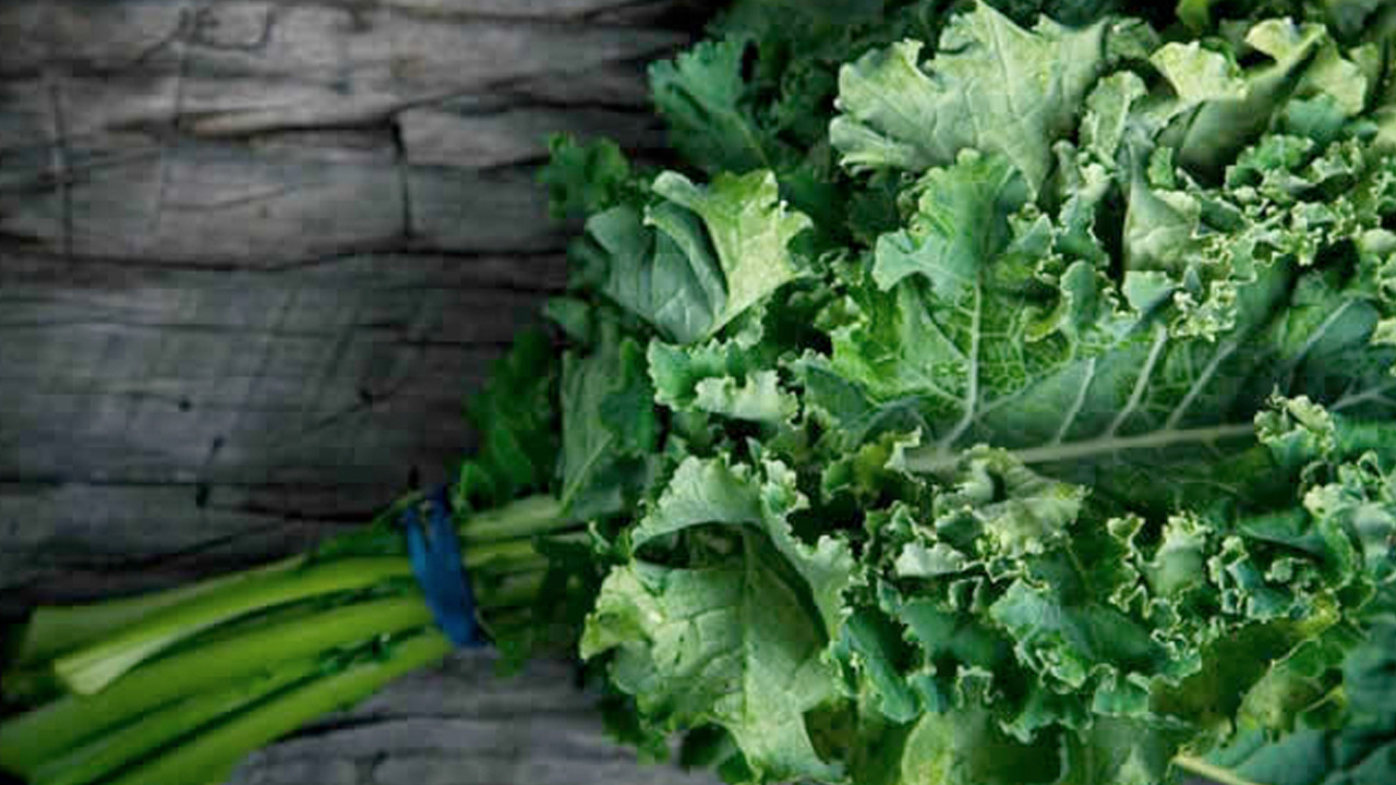 Foto - Osman Müftüoğlu'nun favorisi: Salatasını yapıp tabak tabak yiyin