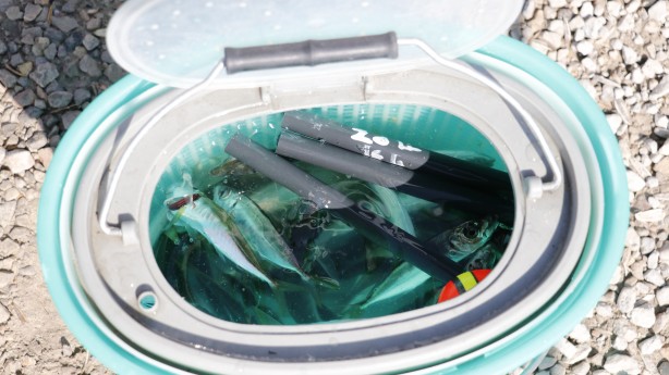 Foto - Osmangazi Köprüsü'nün altında balık keyfi