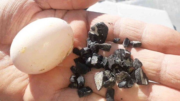 Foto - Osmaniye'de halkın başına taş yağdı