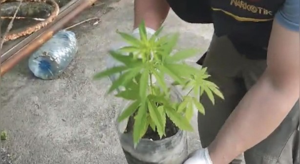 Foto - Osmaniye’de uyuşturucu operasyonu: 11 tutuklama