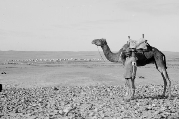 Foto - Osmanlı arşivinden Filistin