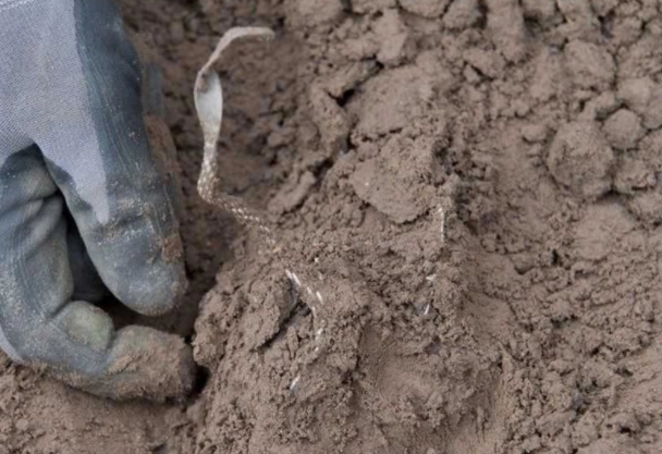 Foto - Osmanlı, Bizans ve Vikingler… Görenler şoke oldu
