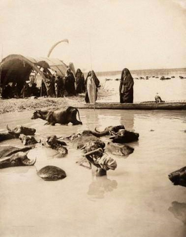Foto - Osmanlı döneminde 'İstanbul'