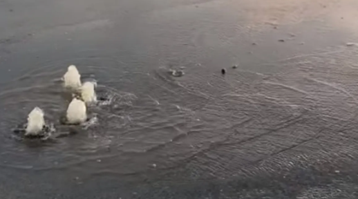 Foto - "Osmanlı'dan beri biliniyor" diyerek heyecanlandıran haberi verdi! Resmen denizden petrol fışkırıyor