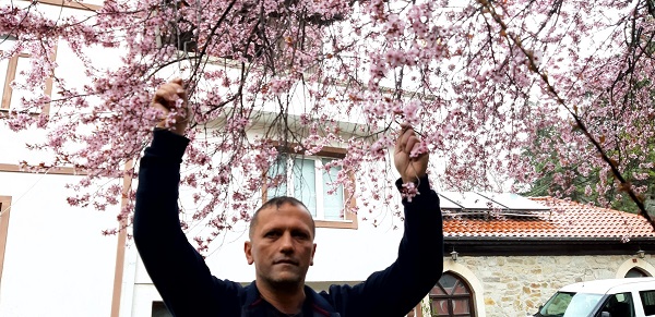 Foto - Osmanlı kasabasına bahar geldi