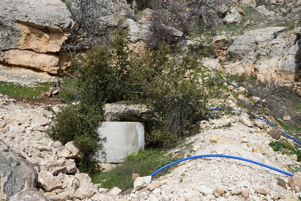 Foto - Osmanlı mirası çeşmenin hali üzdü