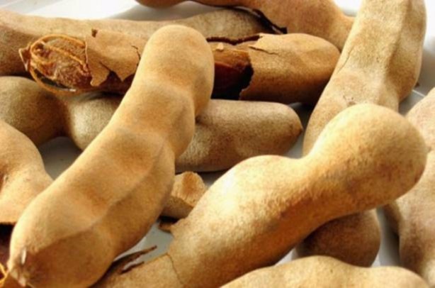 Foto - Osmanlı padişahları bu içeceği içiyordu!