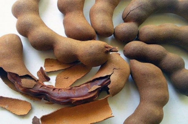 Foto - Osmanlı padişahları bu içeceği içiyordu!