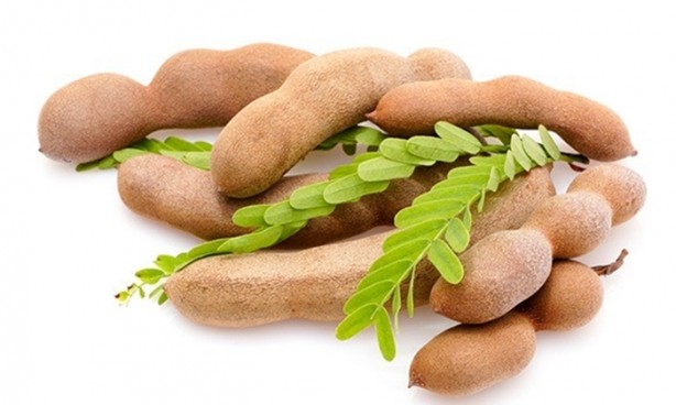 Foto - Osmanlı padişahları bu içeceği içiyordu!