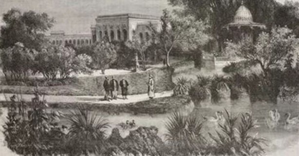 Foto - Osmanlı'da yasak olan meyve! Bütün ağaçlar yakıldı