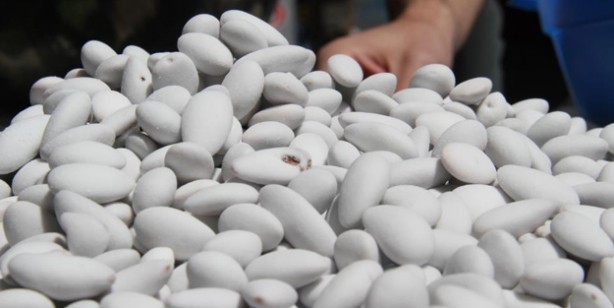 Foto - Osmanlı’dan gelen lezzet: Badem şekeri