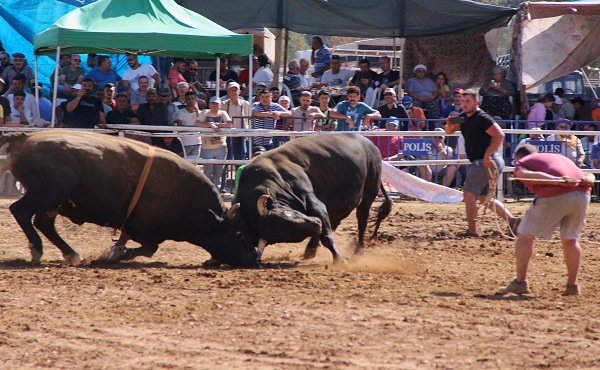 Foto - Osmanlı’dan gelen Yörük geleneği