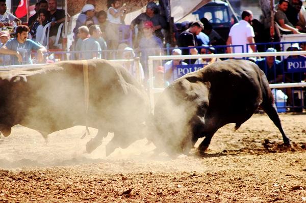 Foto - Osmanlı’dan gelen Yörük geleneği
