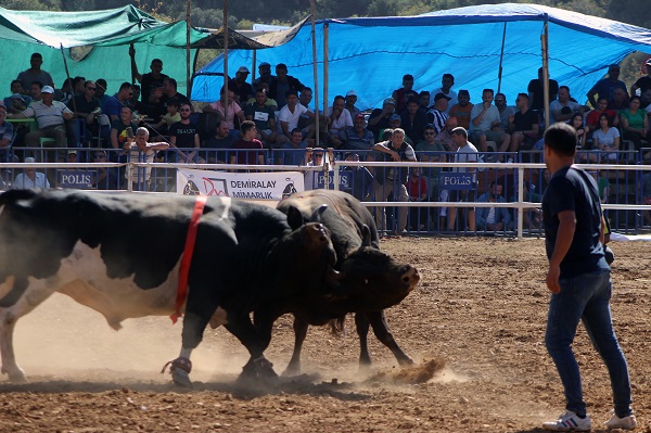 Foto - Osmanlı’dan gelen Yörük geleneği