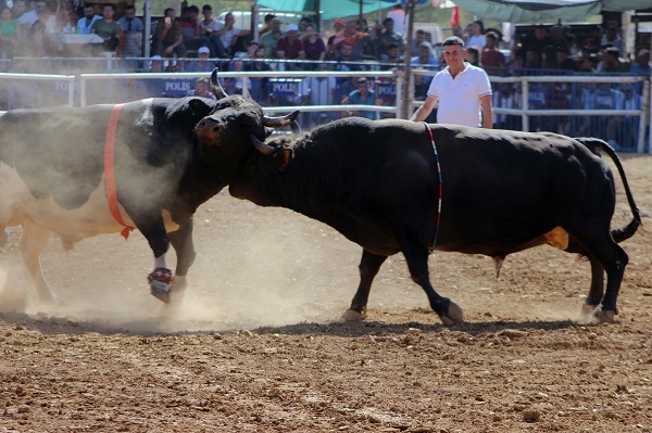 Foto - Osmanlı’dan gelen Yörük geleneği