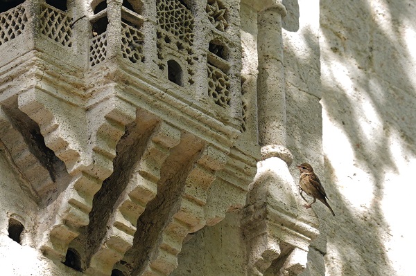Foto - Osmanlıdan günümüze: Kuş sarayları