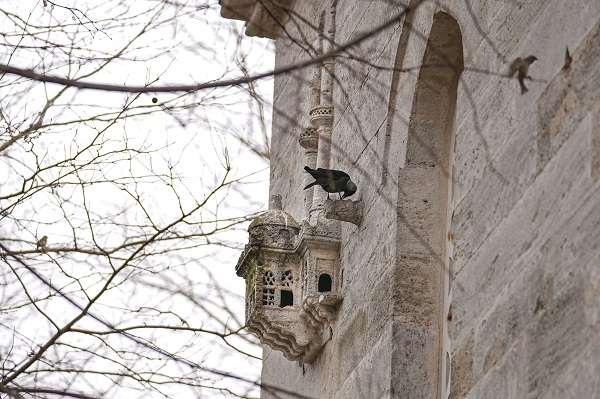 Foto - Osmanlıdan günümüze: Kuş sarayları
