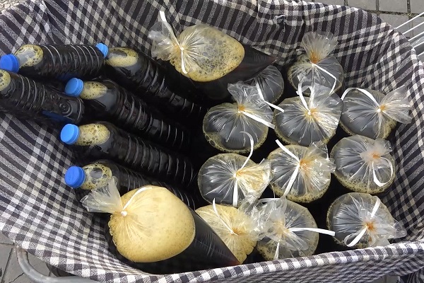 Osmanlı'dan günümüze ramazanın gözdesi