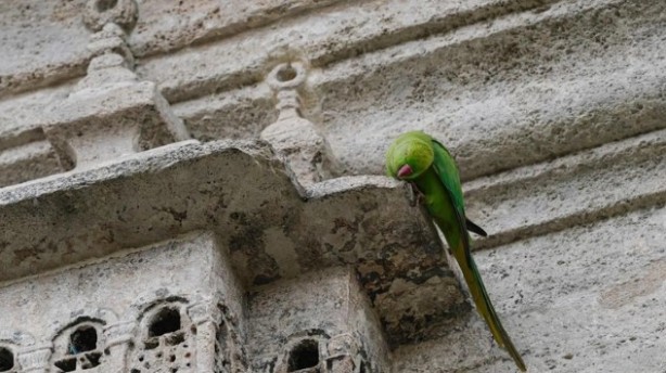 Foto - Osmanlı’dan kalan miras! Tam 5 asırdır güzelliğiyle ayakta duruyor