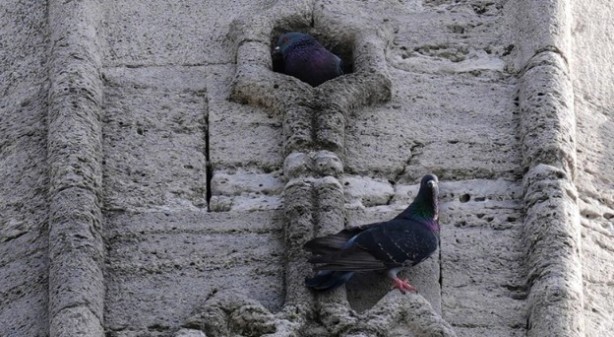 Foto - Osmanlı’dan kalan miras! Tam 5 asırdır güzelliğiyle ayakta duruyor