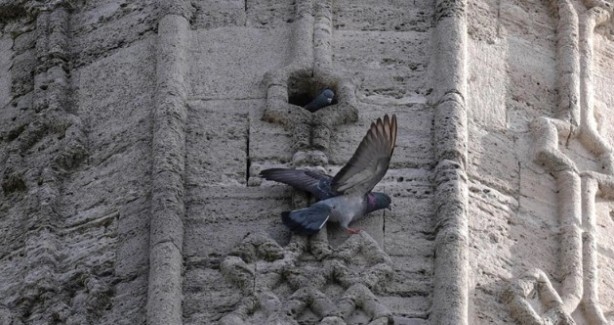 Foto - Osmanlı’dan kalan miras! Tam 5 asırdır güzelliğiyle ayakta duruyor