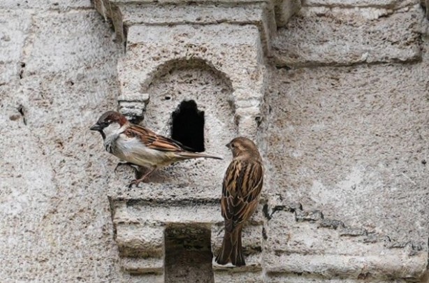 Foto - Osmanlı’dan kalan miras! Tam 5 asırdır güzelliğiyle ayakta duruyor