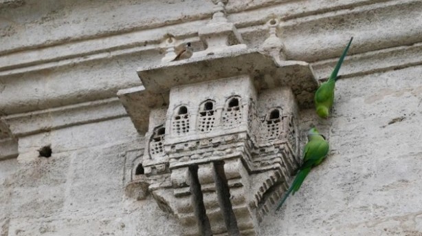 Foto - Osmanlı’dan kalan miras! Tam 5 asırdır güzelliğiyle ayakta duruyor