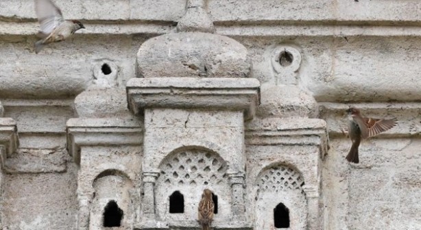 Foto - Osmanlı’dan kalan miras! Tam 5 asırdır güzelliğiyle ayakta duruyor