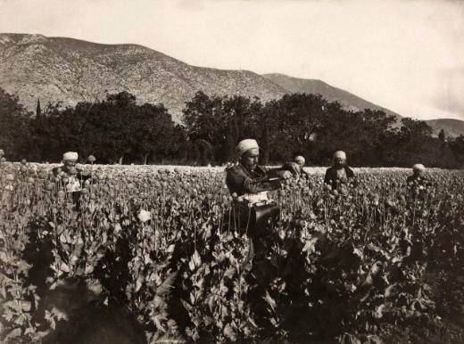 Foto - Osmanlı'nın bilinmeyen yüzü