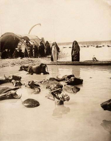 Foto - Osmanlı'nın bilinmeyen yüzü