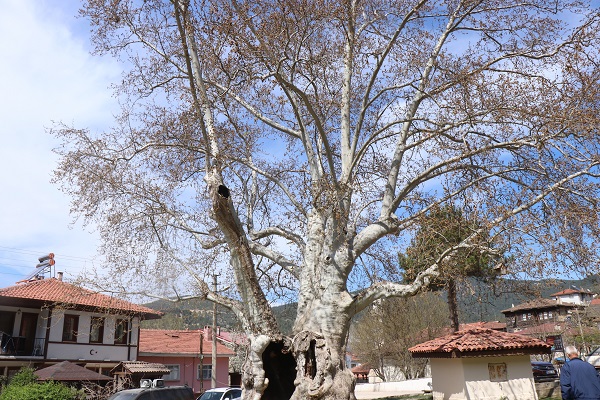 Foto - Osmanlının izi! 700 yıllık ihtişam