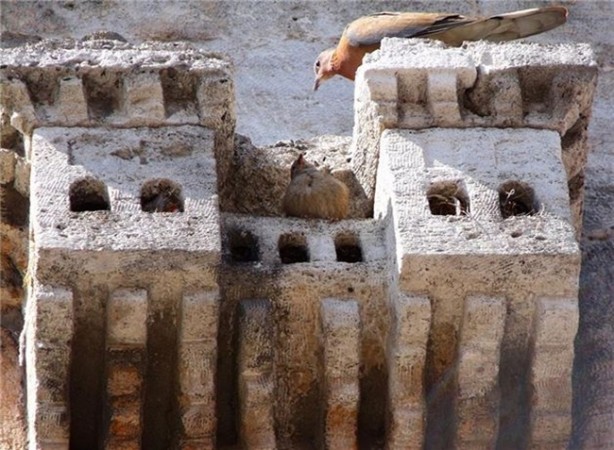 Foto - Osmanlı'nın küçük sarayları