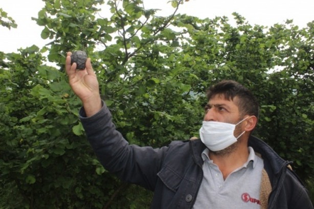Foto - Ot biçerken bahçede gök taşı buldu