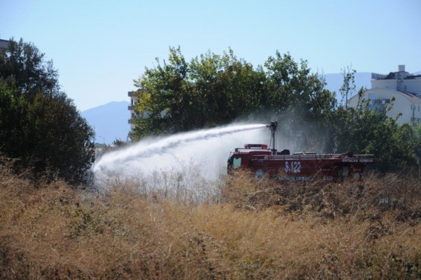 Foto - Otluk alanda çıkan yangın portakal ağaçları ve arı kovanlarını yaktı