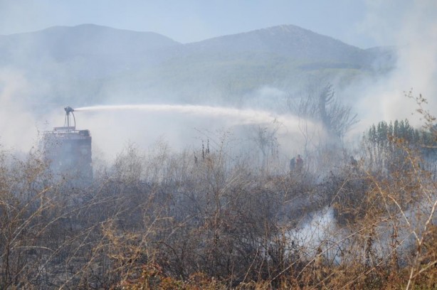 Foto - Otluk alanda çıkan yangın portakal ağaçları ve arı kovanlarını yaktı