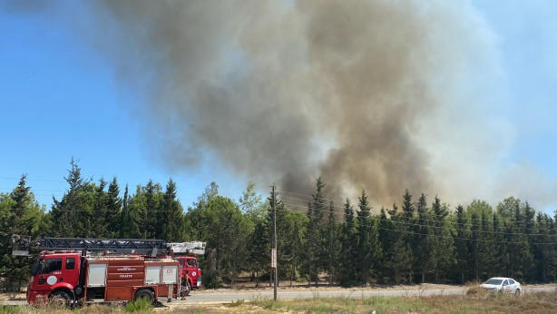 Foto - Otluk alandaki yangın tersaneye ve ormana sıçradı!