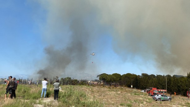 Foto - Otluk alandaki yangın tersaneye ve ormana sıçradı!