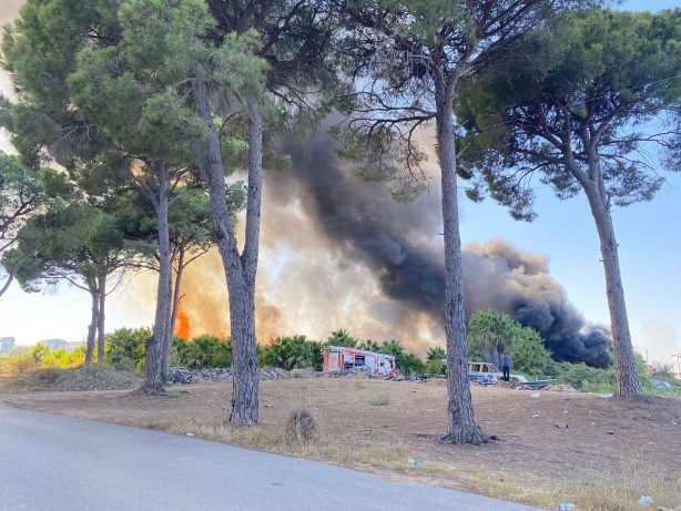 Foto - Otluk alandaki yangın tersaneye ve ormana sıçradı!