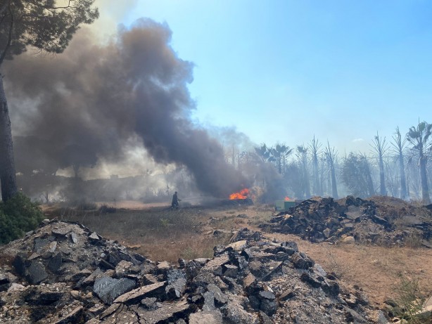 Foto - Otluk alandaki yangın tersaneye ve ormana sıçradı!