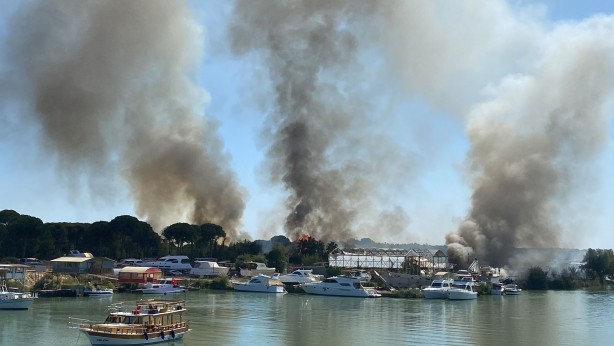 Foto - Otluk alandaki yangın tersaneye ve ormana sıçradı!