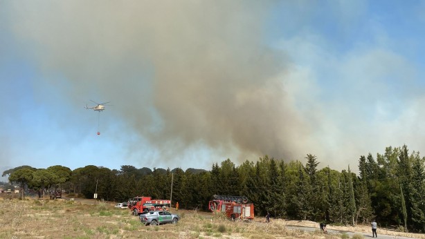 Otluk alandaki yangın tersaneye ve ormana sıçradı!