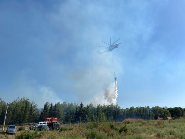 Foto - Otluk alandaki yangın tersaneye ve ormana sıçradı!