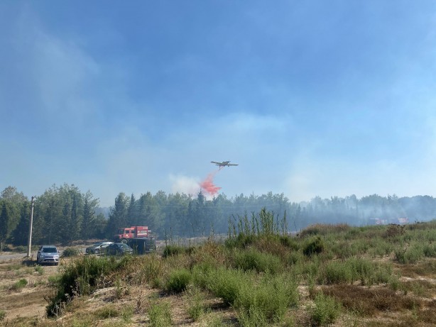 Foto - Otluk alandaki yangın tersaneye ve ormana sıçradı!