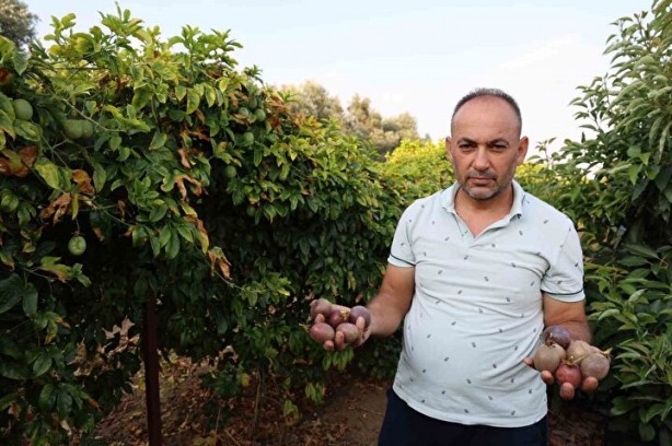 Foto - Oto yedek parça işini bırakıp bu işe girdi! Hayatı tepeden tırnağa değişti, kendi bile şokta