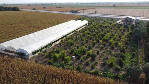 Foto - Oto yedek parça işini bırakıp bu işe girdi! Hayatı tepeden tırnağa değişti, kendi bile şokta