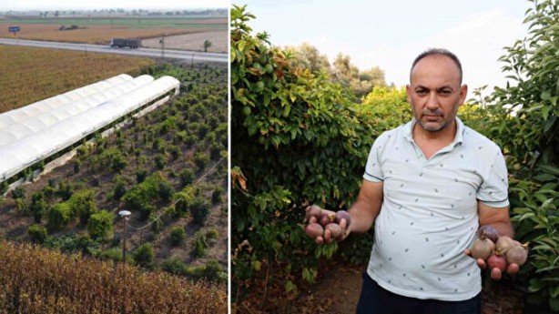 Foto - Oto yedek parça işini bırakıp bu işe girdi! Hayatı tepeden tırnağa değişti, kendi bile şokta