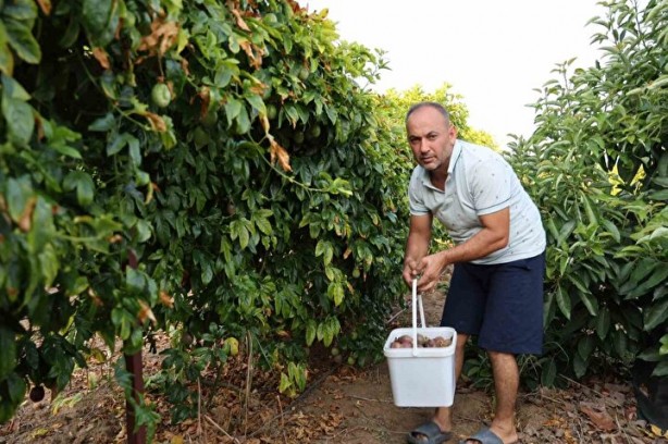 Foto - Oto yedek parça işini bırakıp bu işe girdi! Hayatı tepeden tırnağa değişti, kendi bile şokta