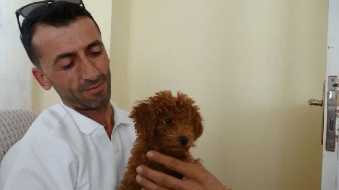 Foto - Otobüste unutulan şey şaşırttı! Oyuncak sandı canlı çıktı!
