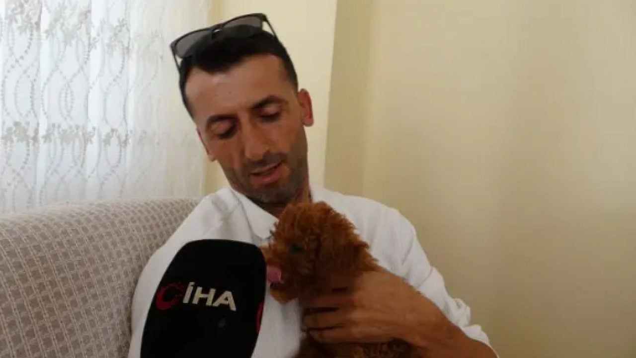 Foto - Otobüste unutulan şey şaşırttı! Oyuncak sandı canlı çıktı!